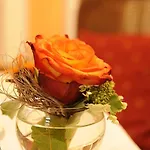 Otel Boutique Splendid 3*