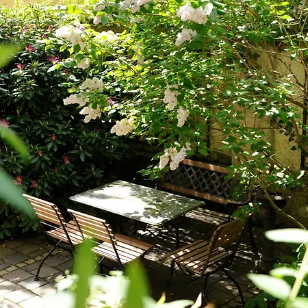 Boutique Splendid Hotel