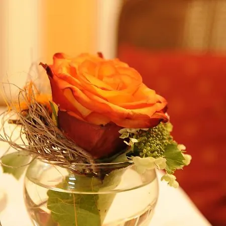 Hotel Boutique Splendid 3*