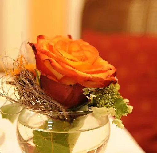 Hotel Boutique Splendid 3*